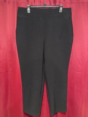 Nine West Women’s Professional Slacks Trousers Size Large